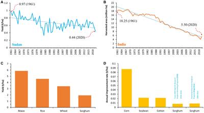 Frontiers | Assessment Of Global Sorghum Production, Tolerance, And ...